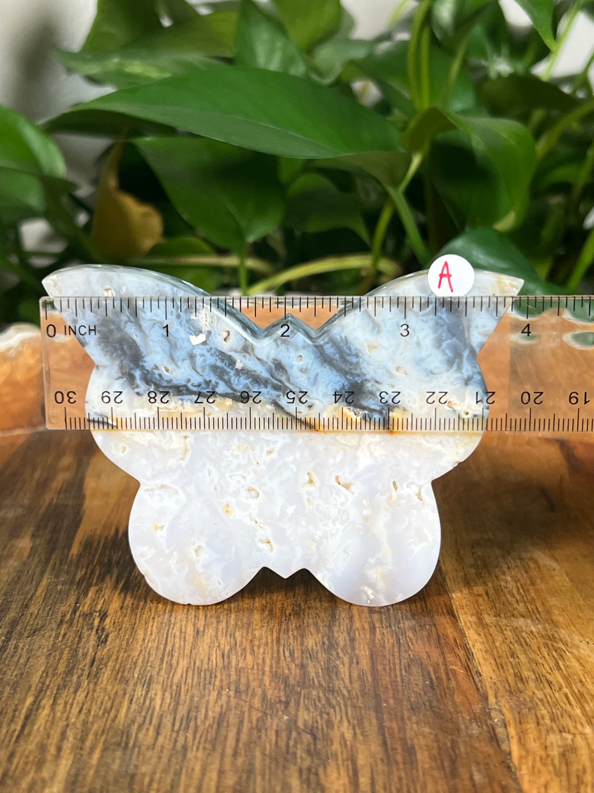 Rainbow Plume Agate Butterflies