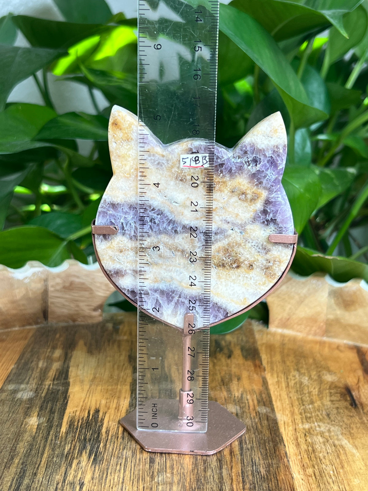 Indonesian Amethyst Cat Head: BB