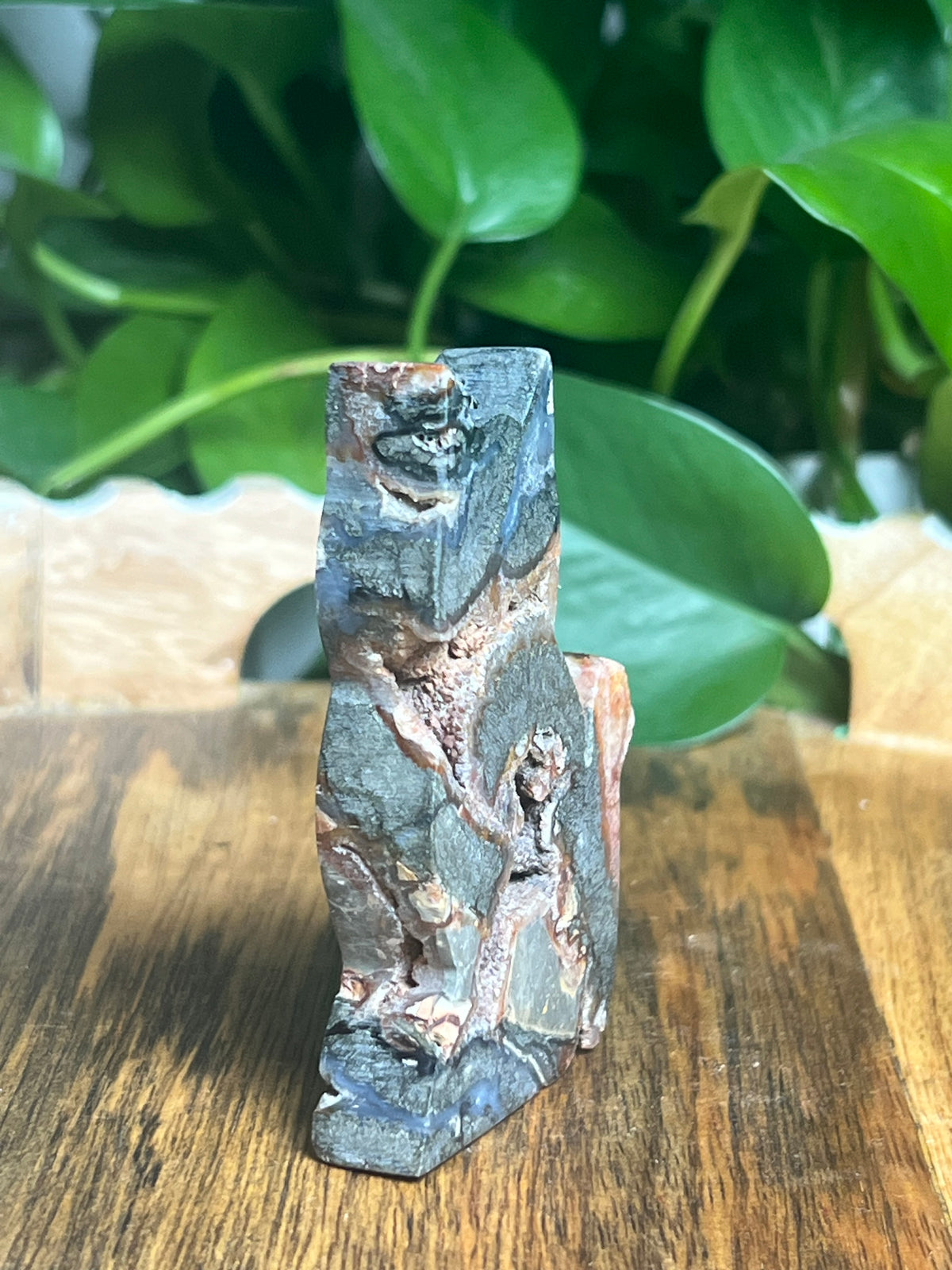 Marcasite Cat: DQ