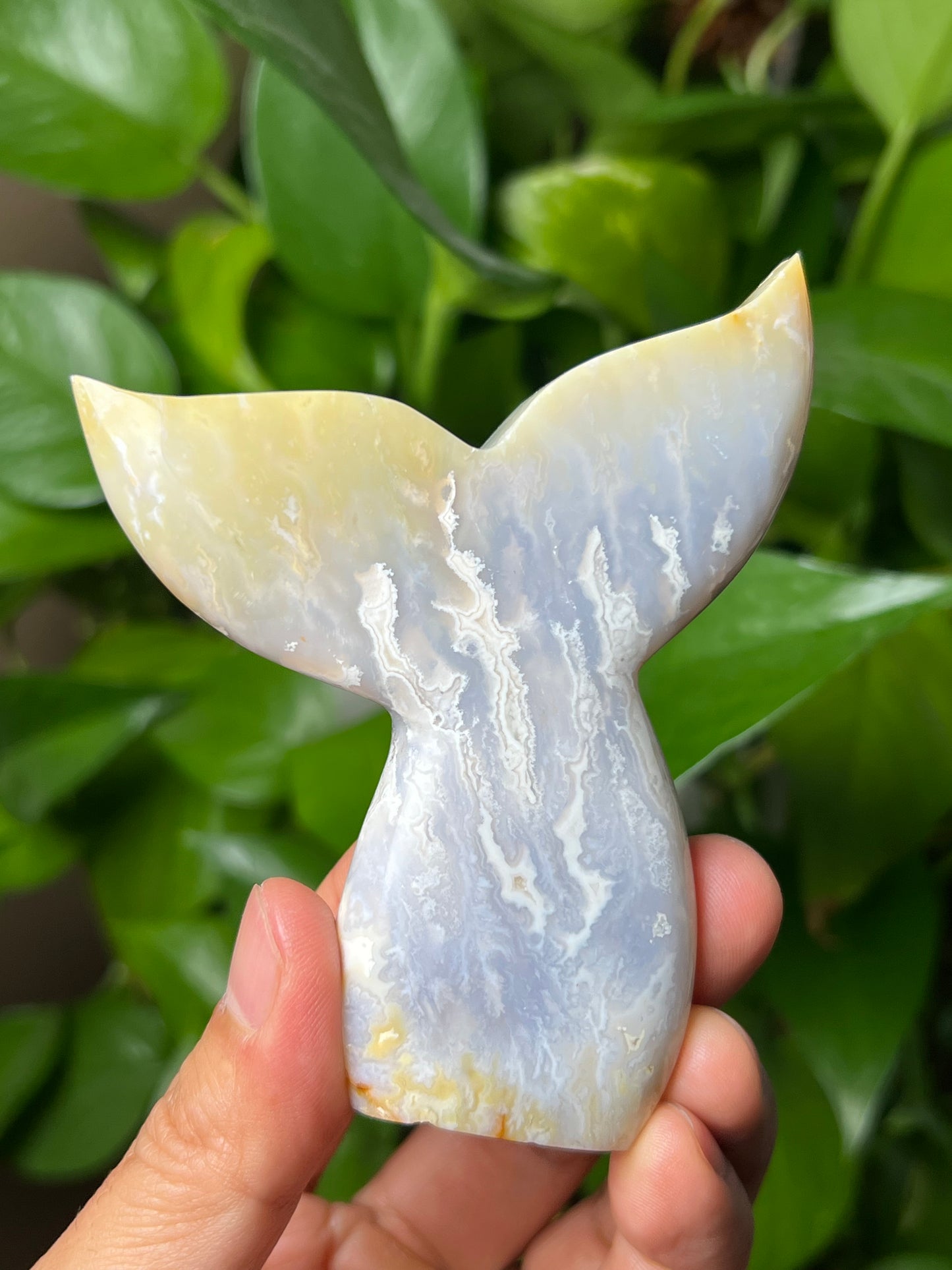 Winter Plume Agate Tail