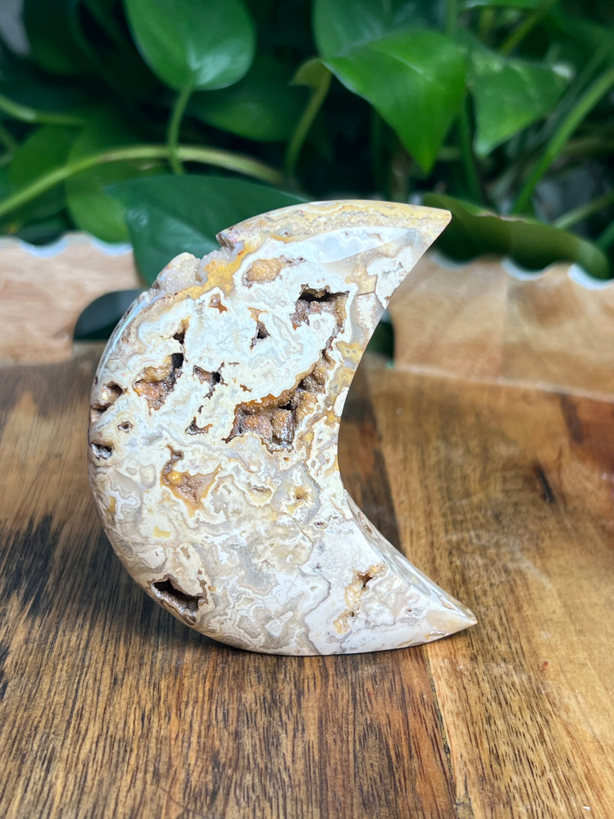 Crazy Lace Agate Self Standing Moon: CE