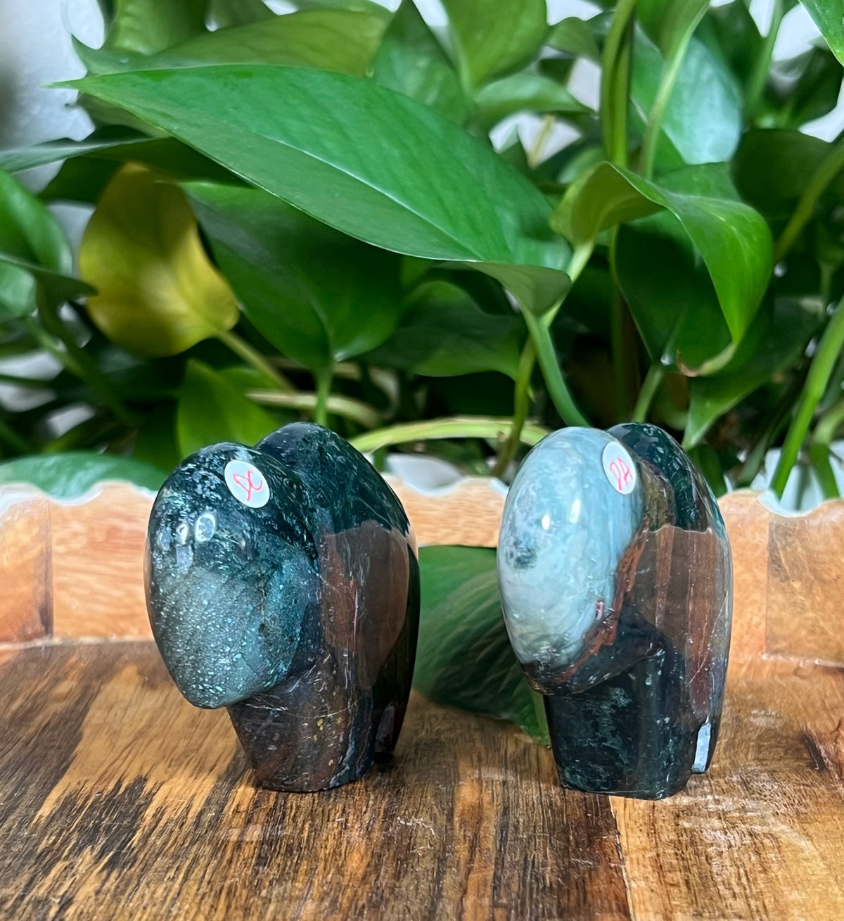 Blue Green Jasper Buffalos