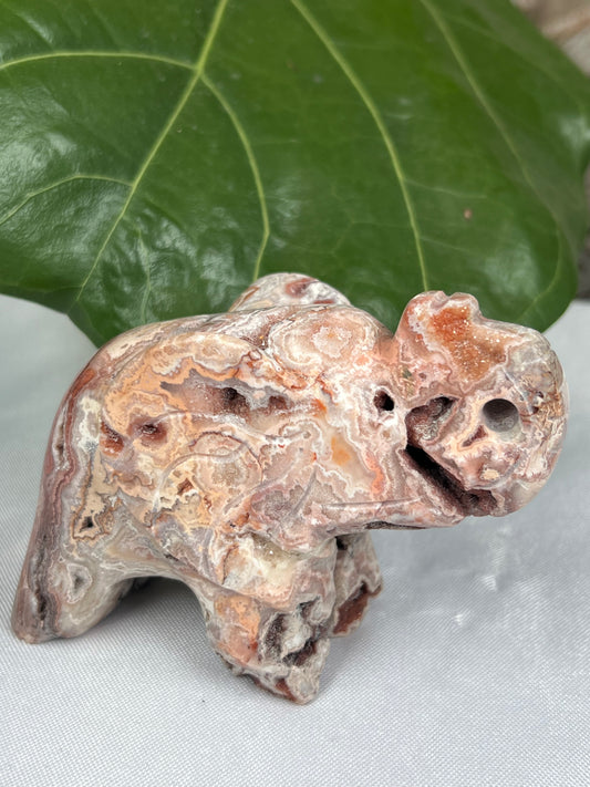 Crazy Lace Agate Elephant
