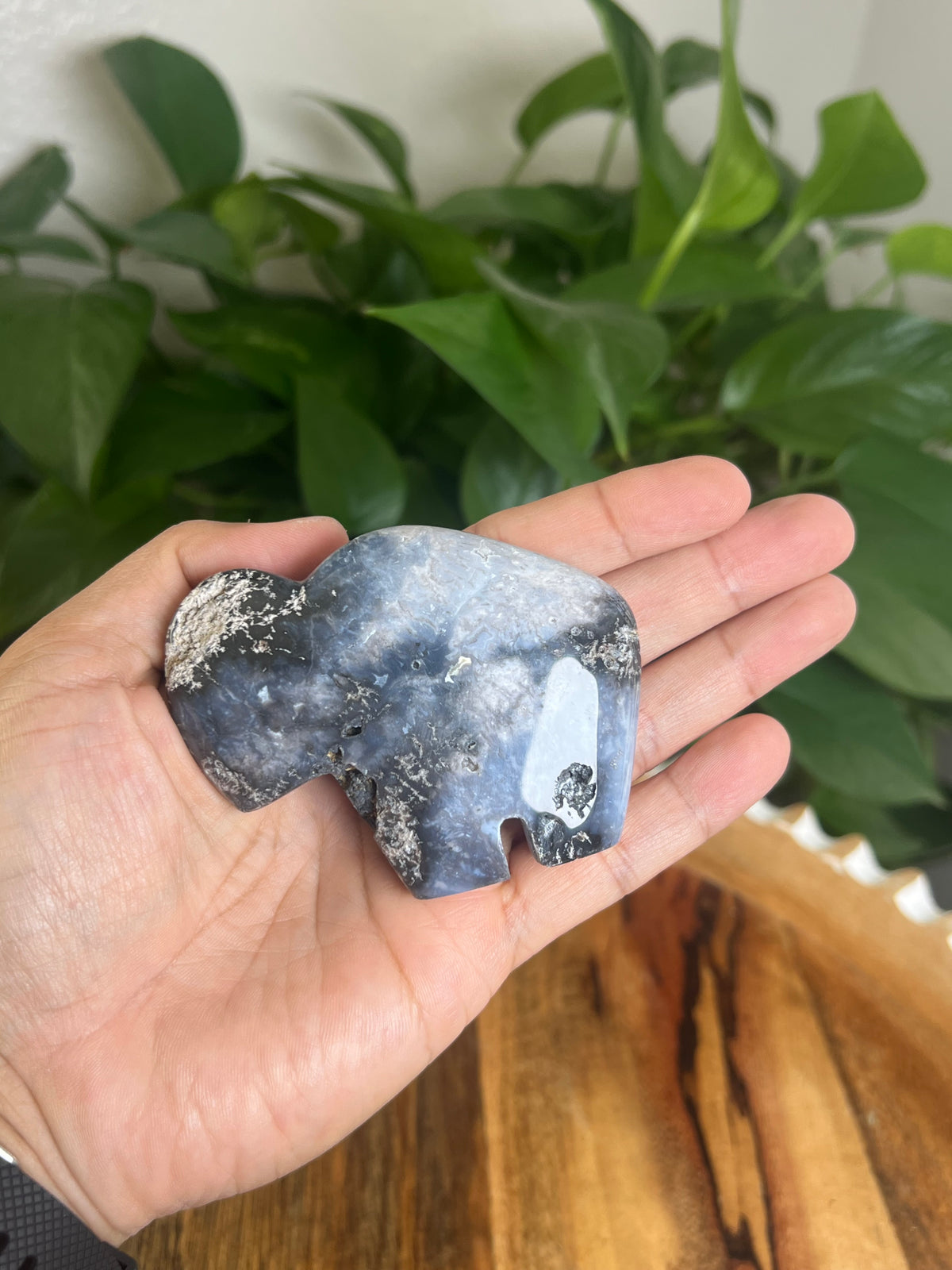 Blue Plume Agate Buffalo: BC