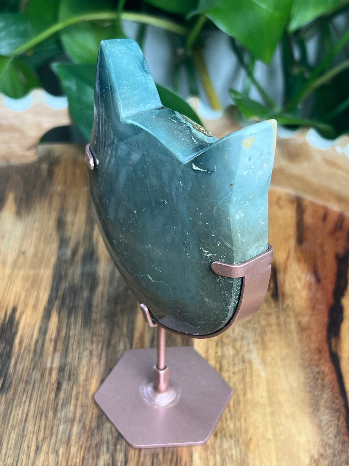 Blue Green Jasper Cat Head: QV