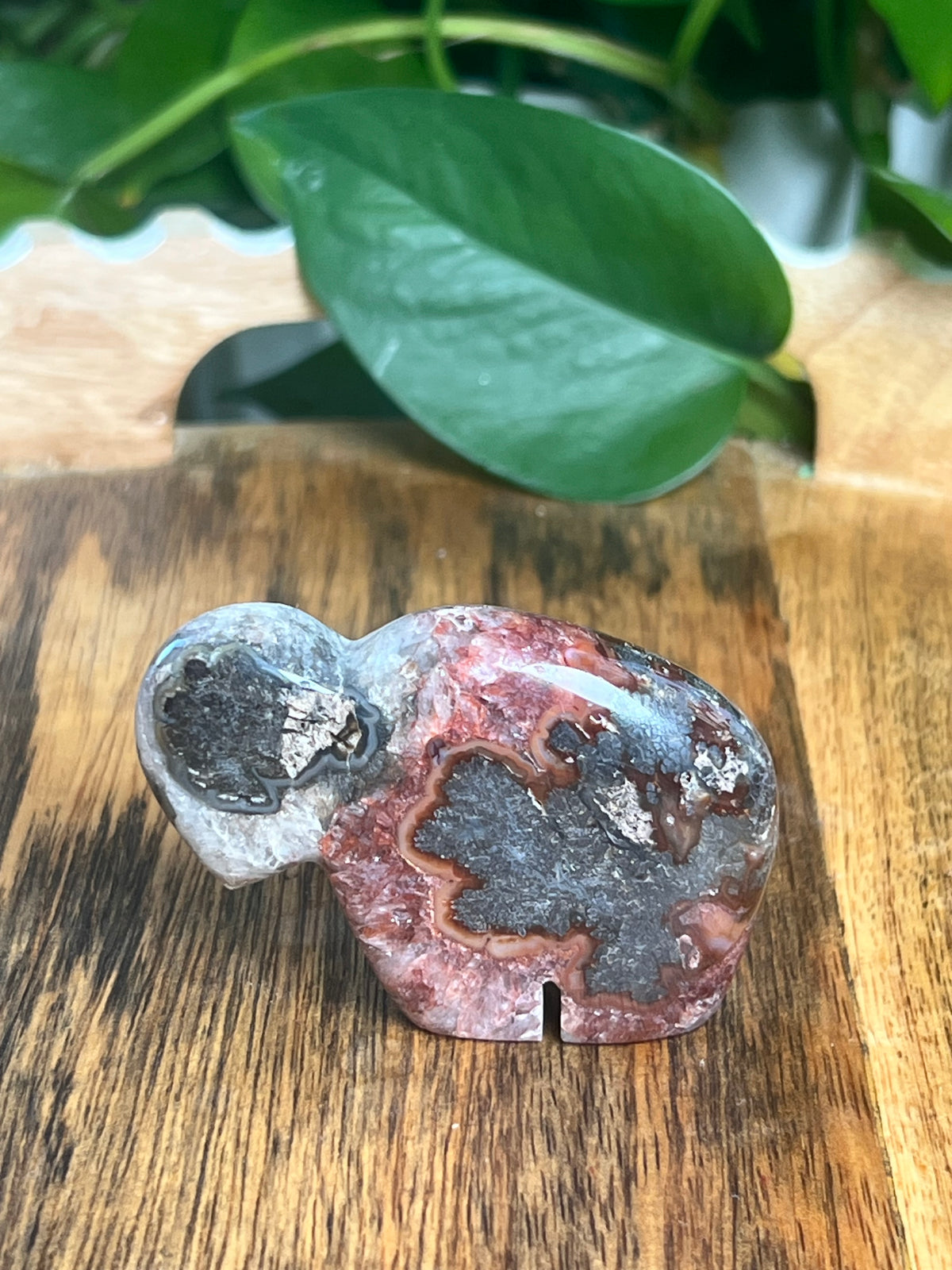 Marcasite Mini Buffalo: MF