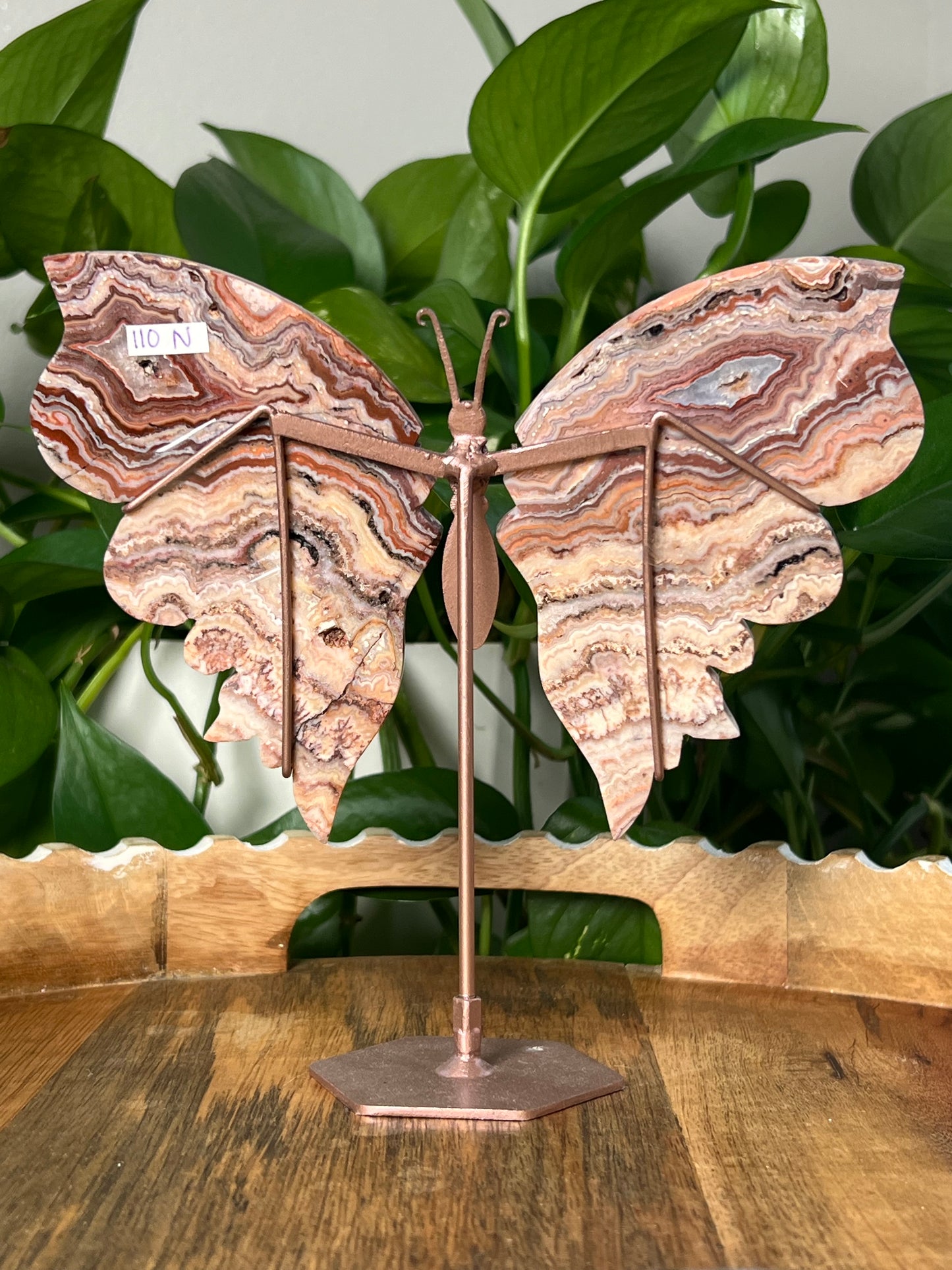 Crazy Lace Agate Wings