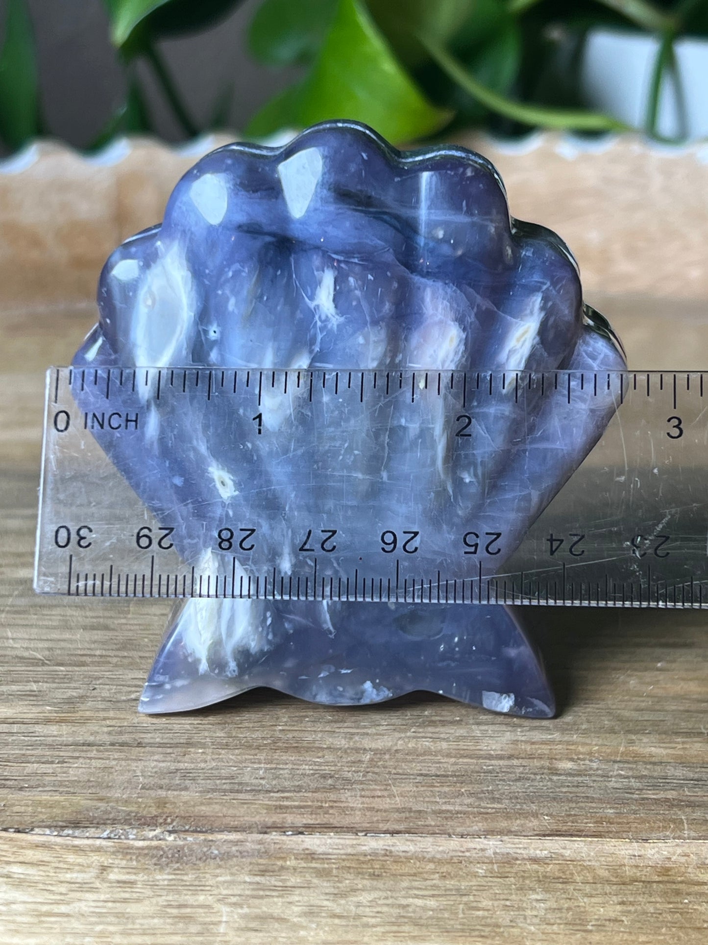 Purple Chalcedony Shell