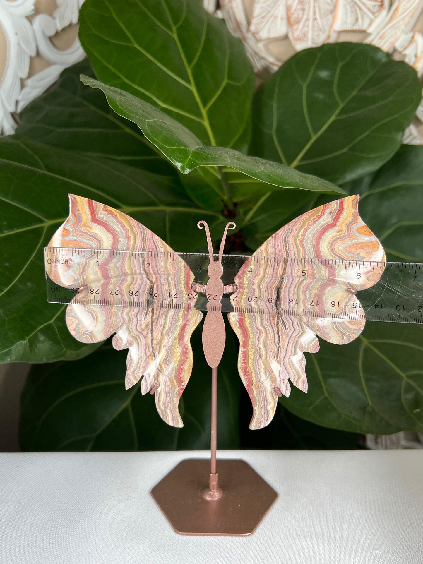 Crazy Lace Agate Wings