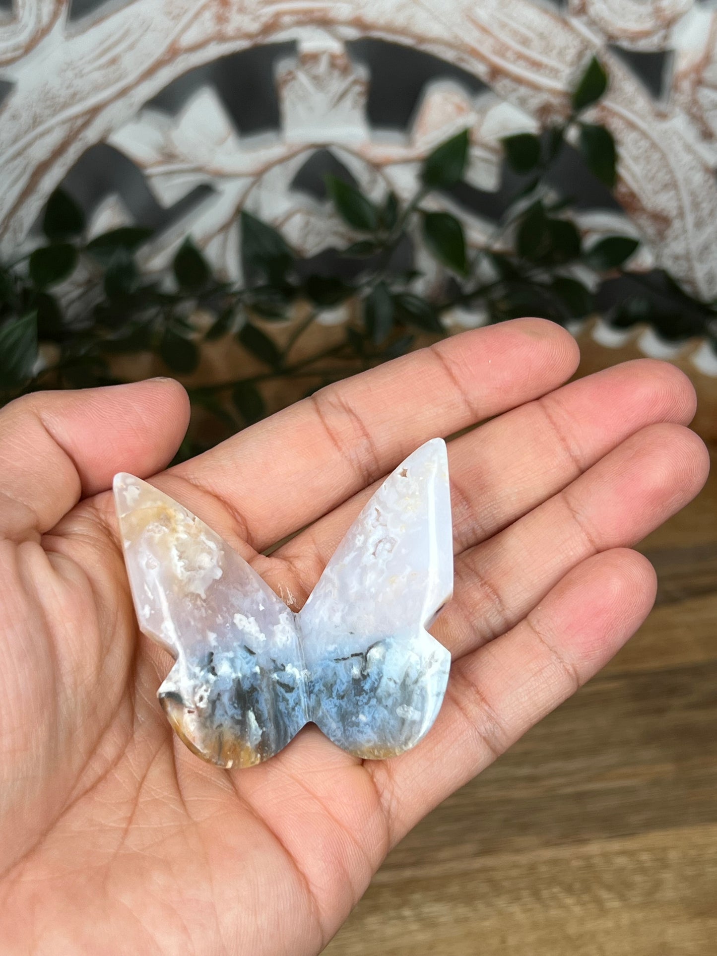 Rainbow Plume Agate 3D Butterfly