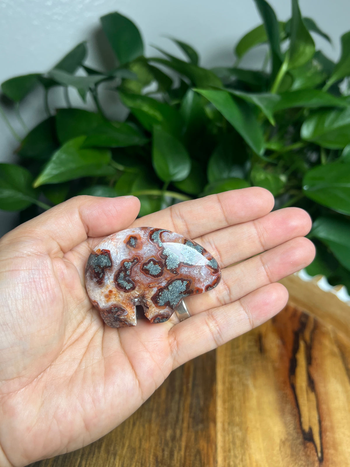 Marcasite Mini Bear: BQ