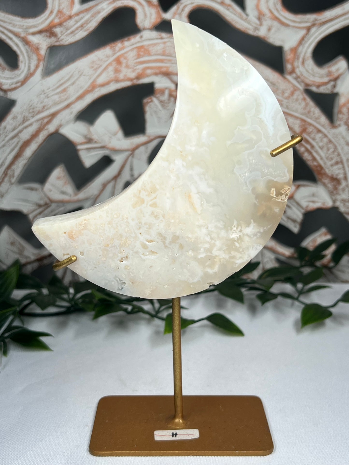 White Plume Agate Moon