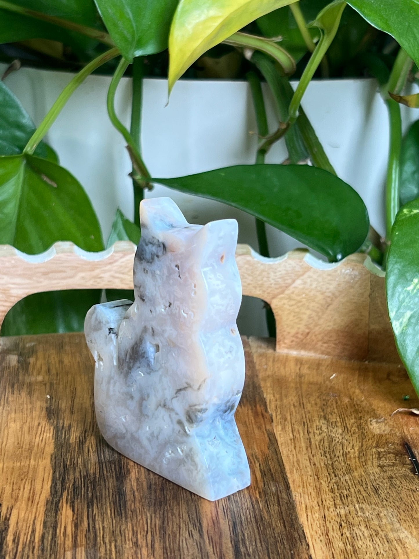 Rainbow Plume Agate Cat B