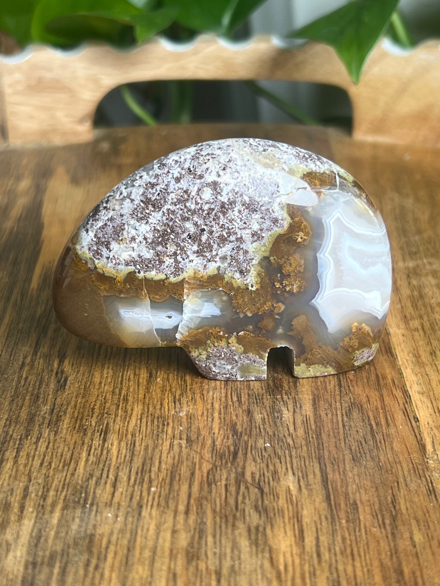 Scenic Moss Agate Bear BK