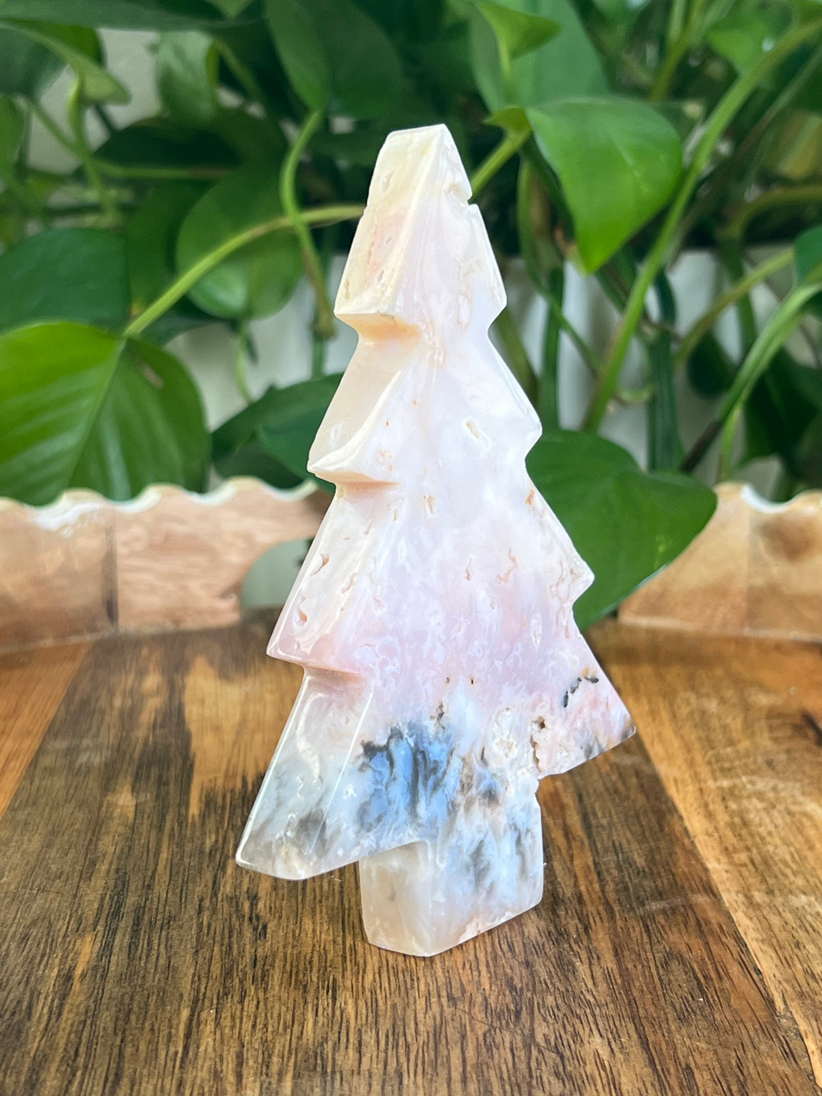 Rainbow Plume Agate Tree: DA