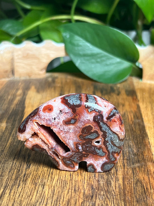 Marcasite Mini Bear:RX