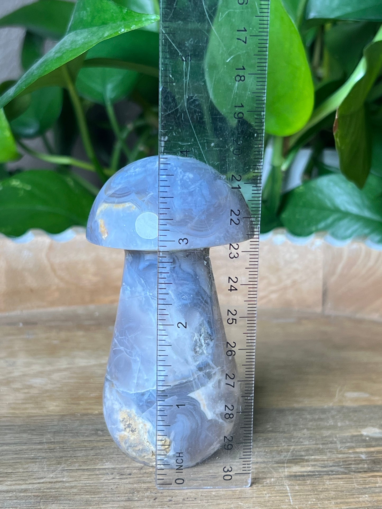 Blue Grey Lace Agate Mushroom: AB