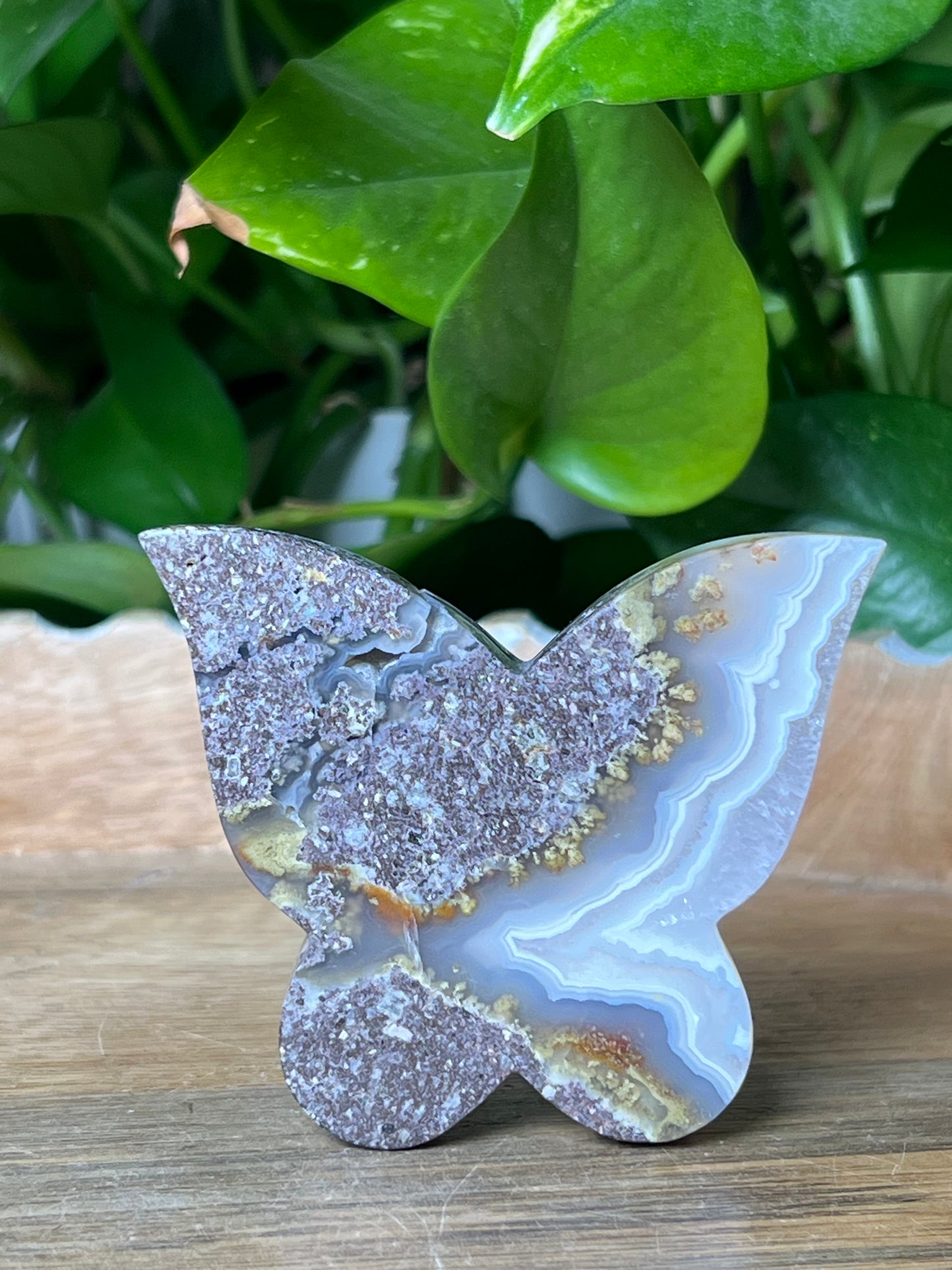 Scenic Moss Agate Butterfly