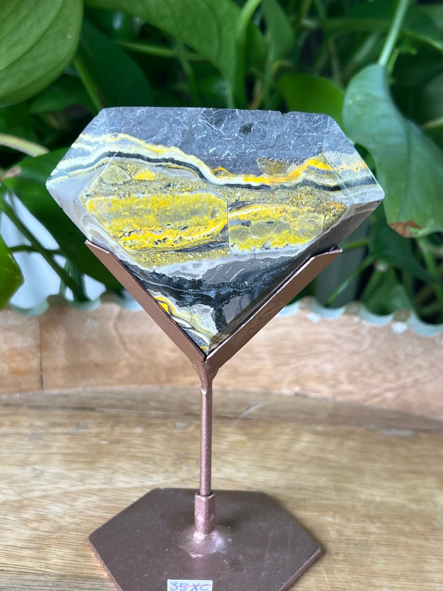 Bumblebee Jasper Diamond