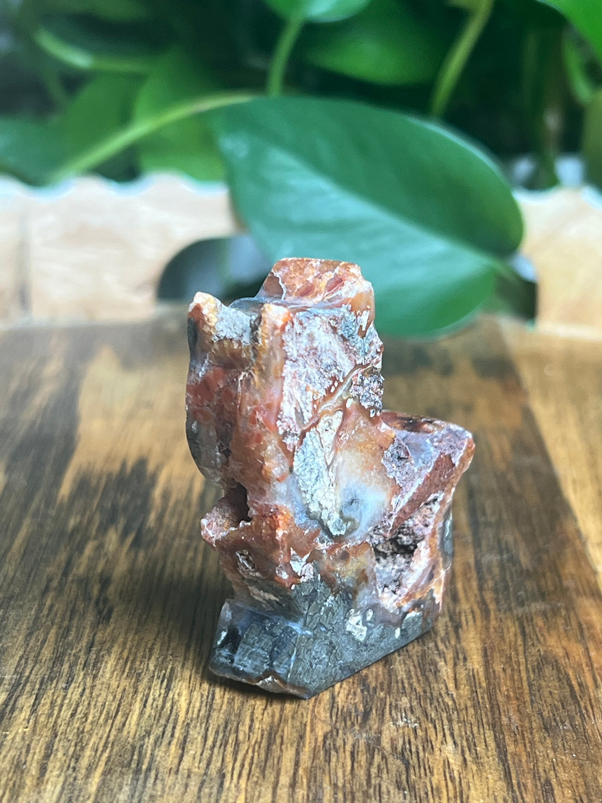 Marcasite Mini Cat: XM
