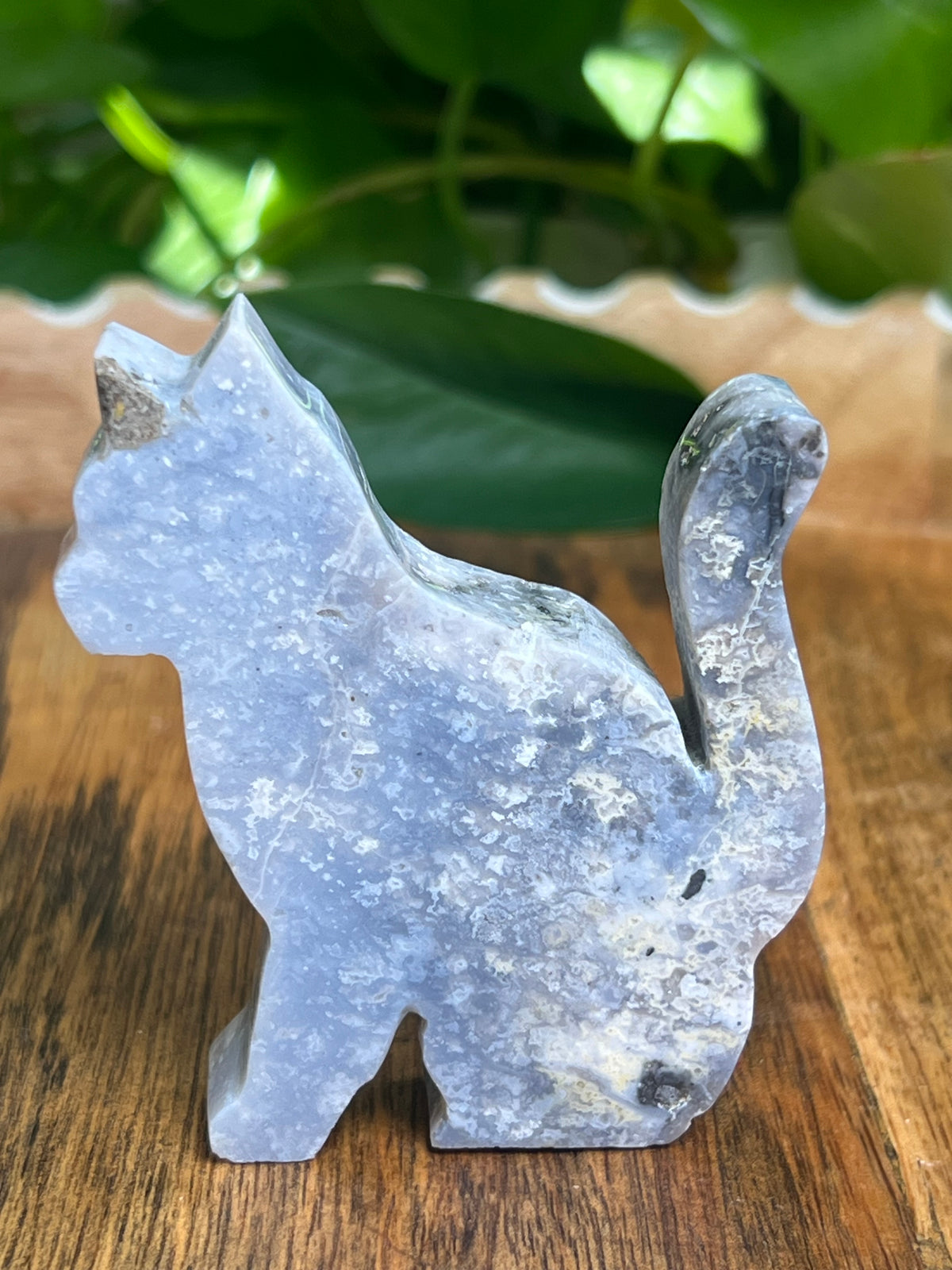 Blue Plume Agate Cat: AG