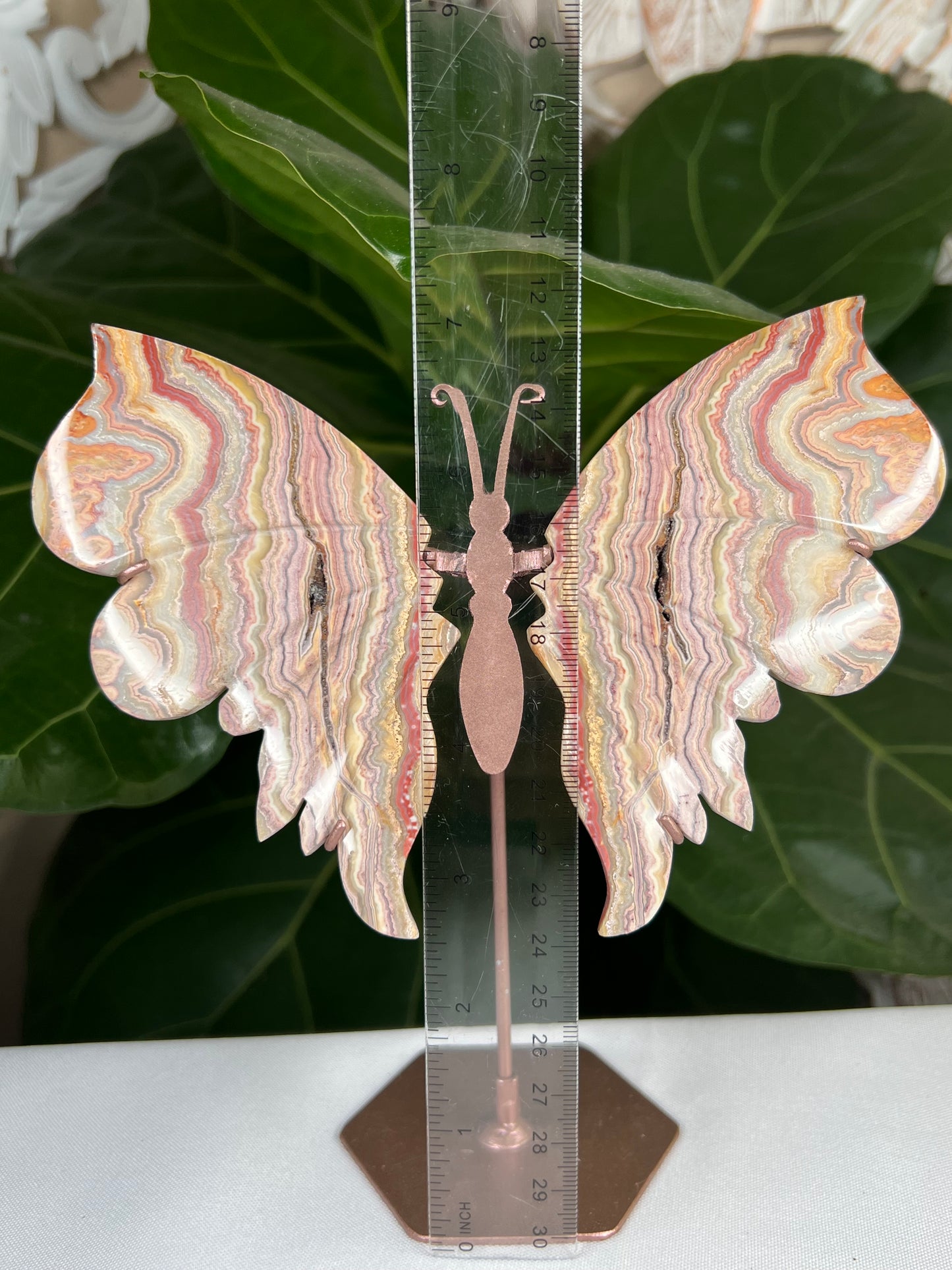 Crazy Lace Agate Wings