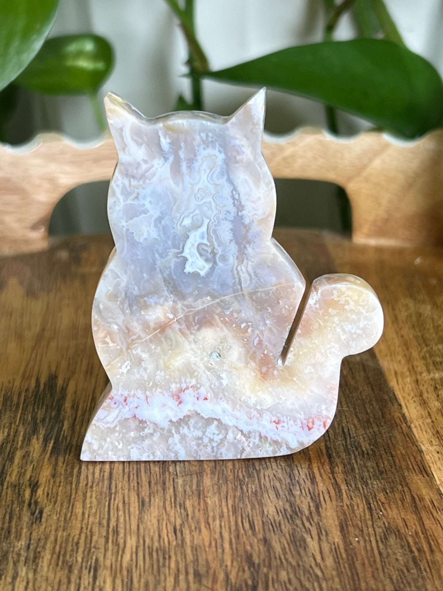 Sumatra Agate Cat EC