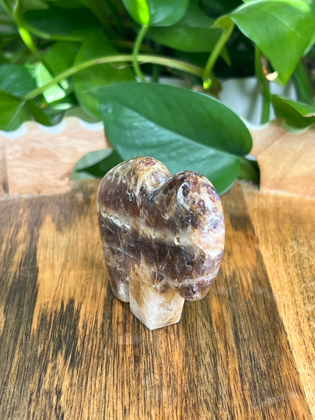 Indonesian Amethyst Buffalo: RL