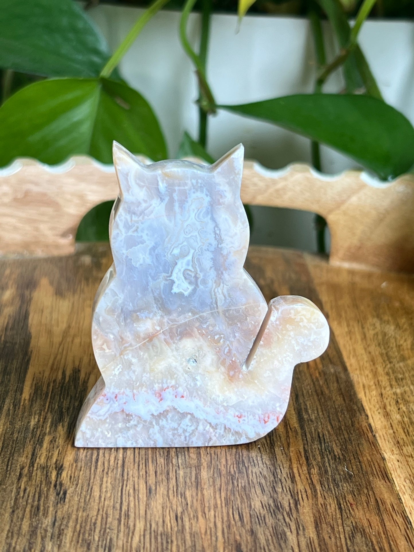 Sumatra Agate Cat EC