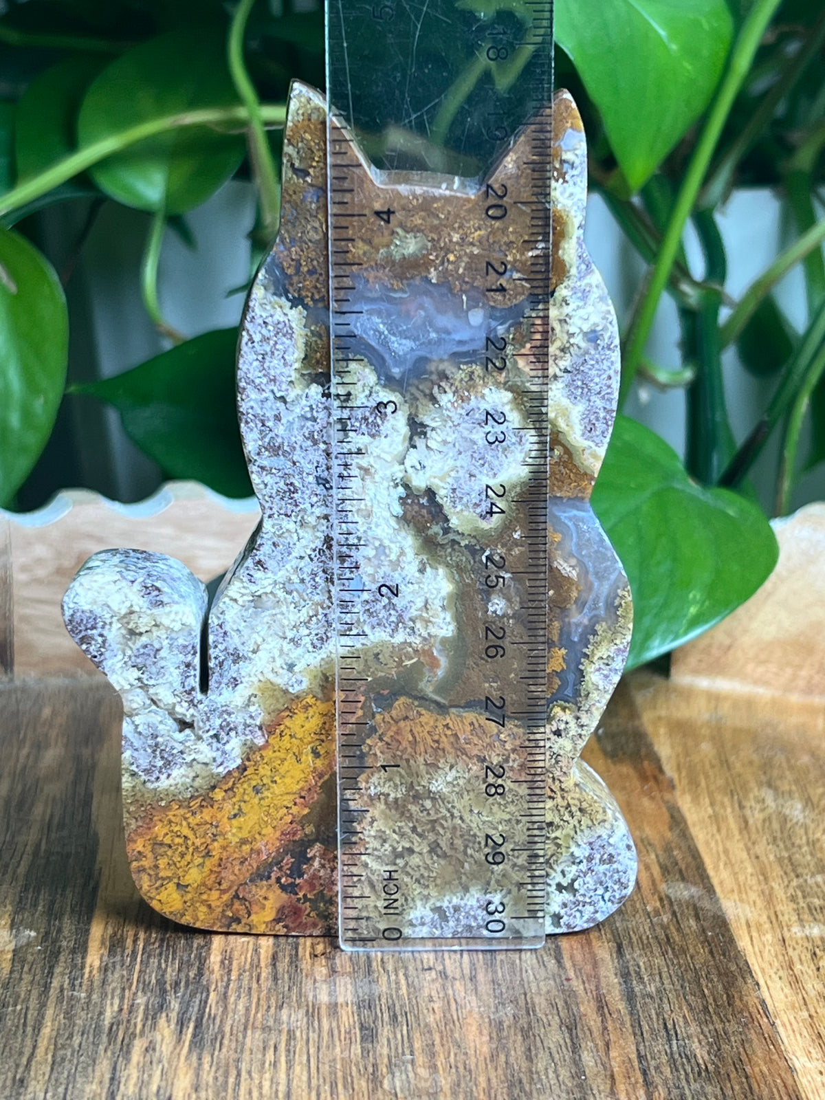 Scenic Moss Agate Cat: AC