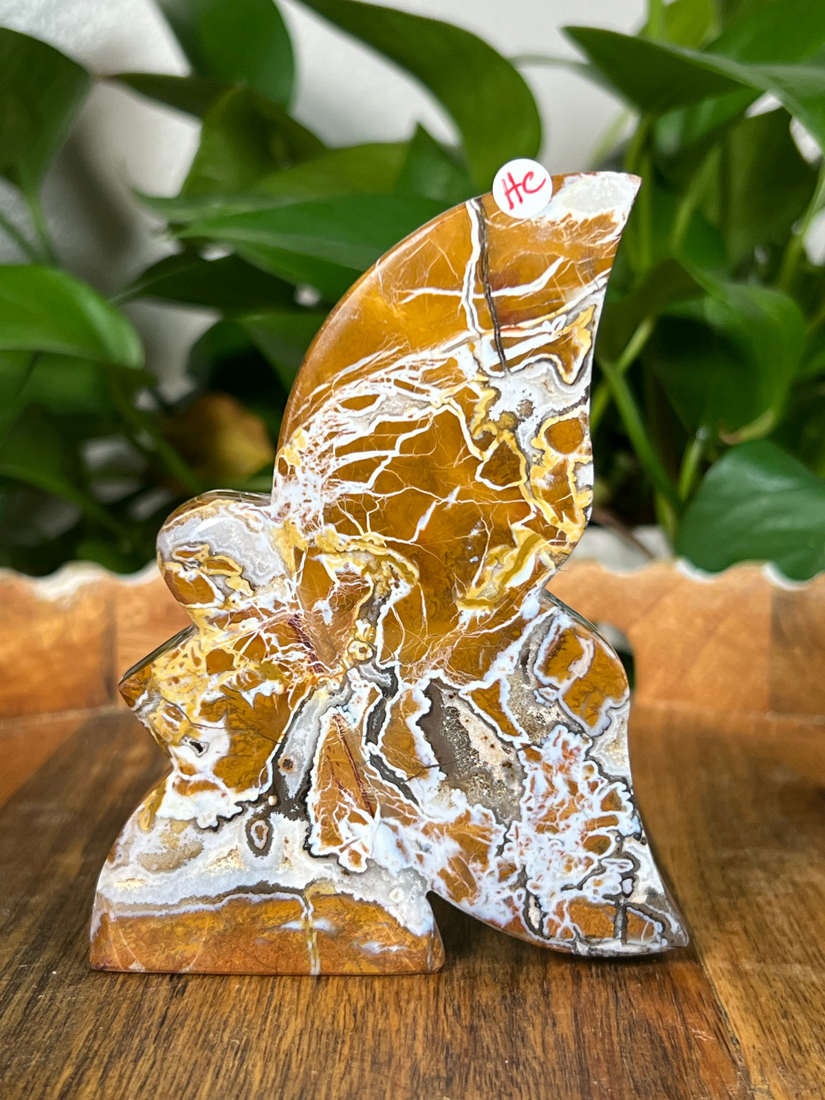 Brecciated Jasper Fairies