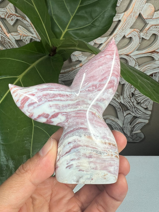 Milky Jasper Tail