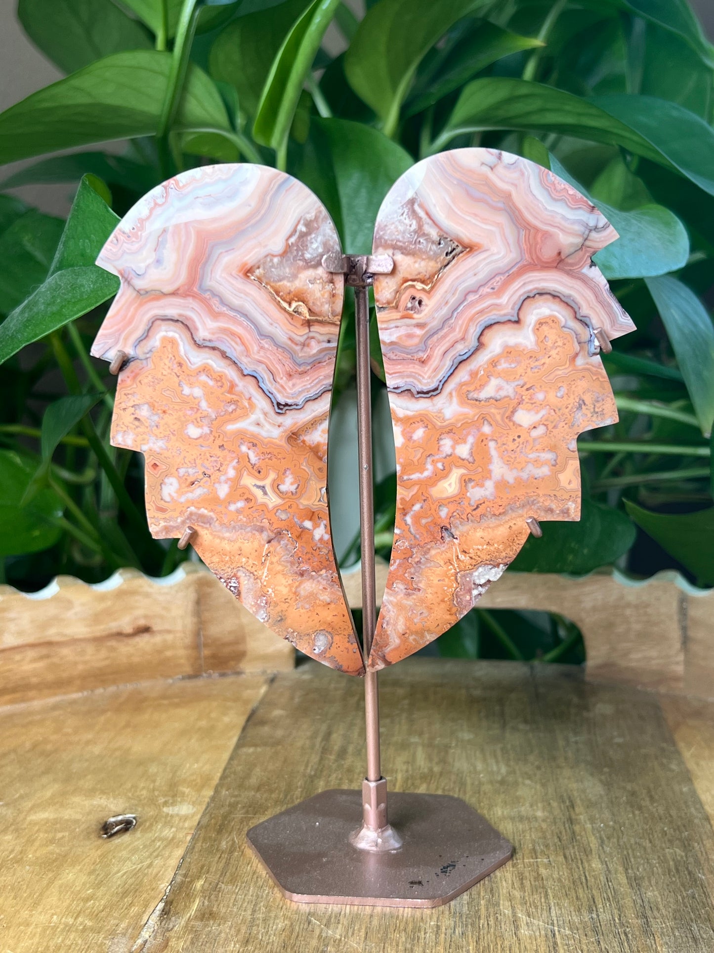 Crazy Lace Agate Wings