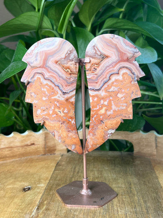 Crazy Lace Agate Wings