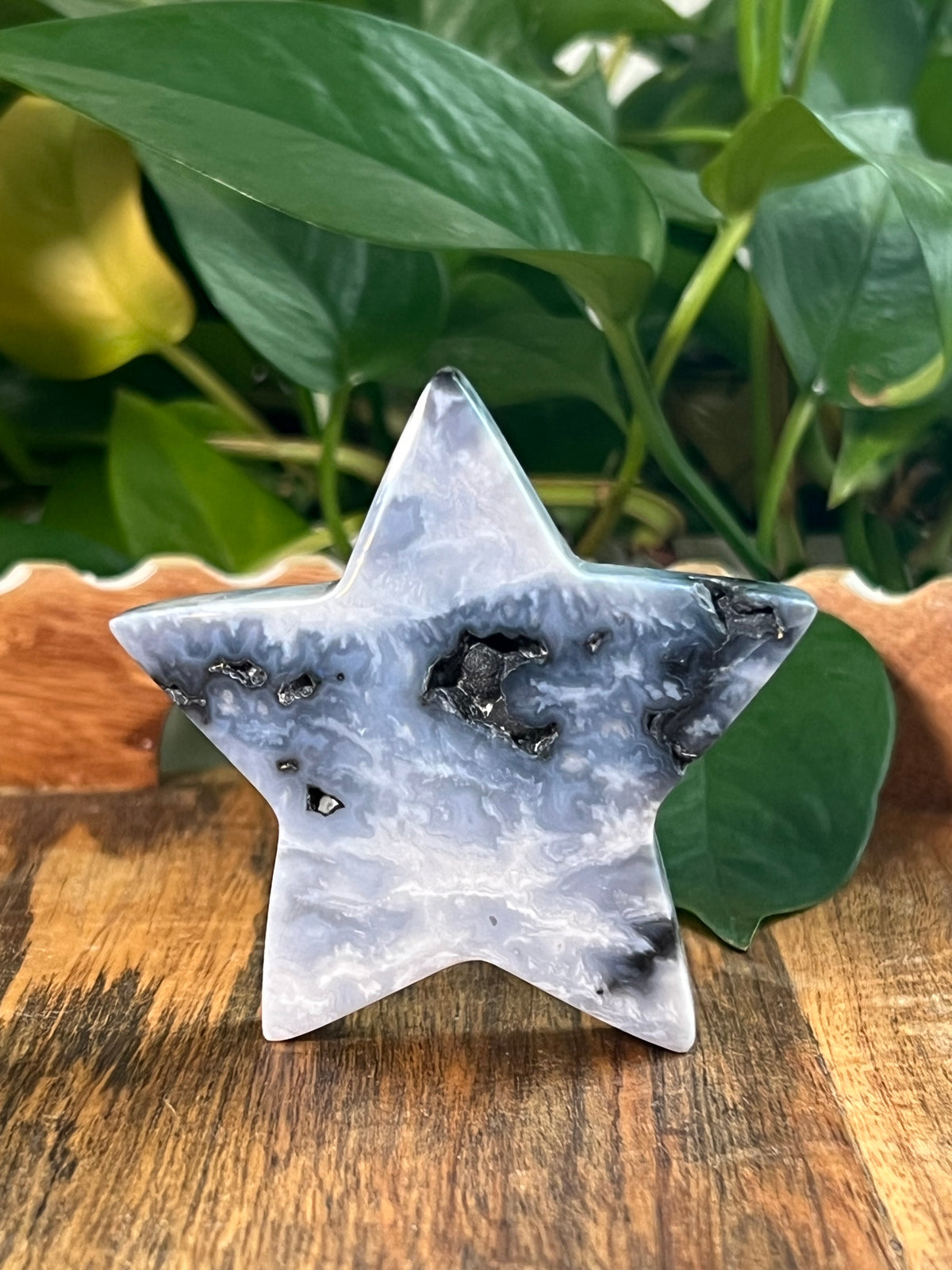 Blue Plume Agate Stars