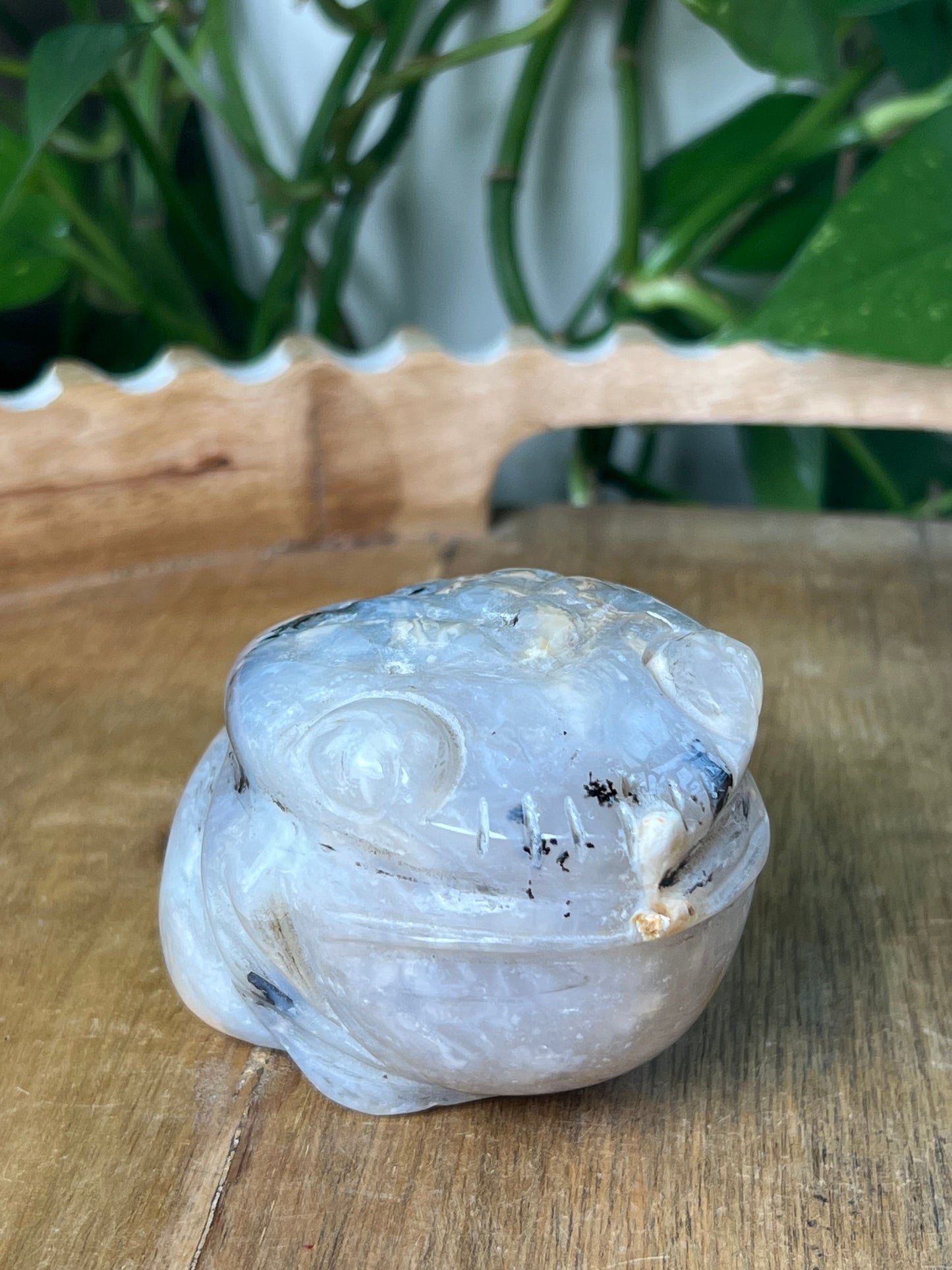 Dendritic Tiger Agate Frog