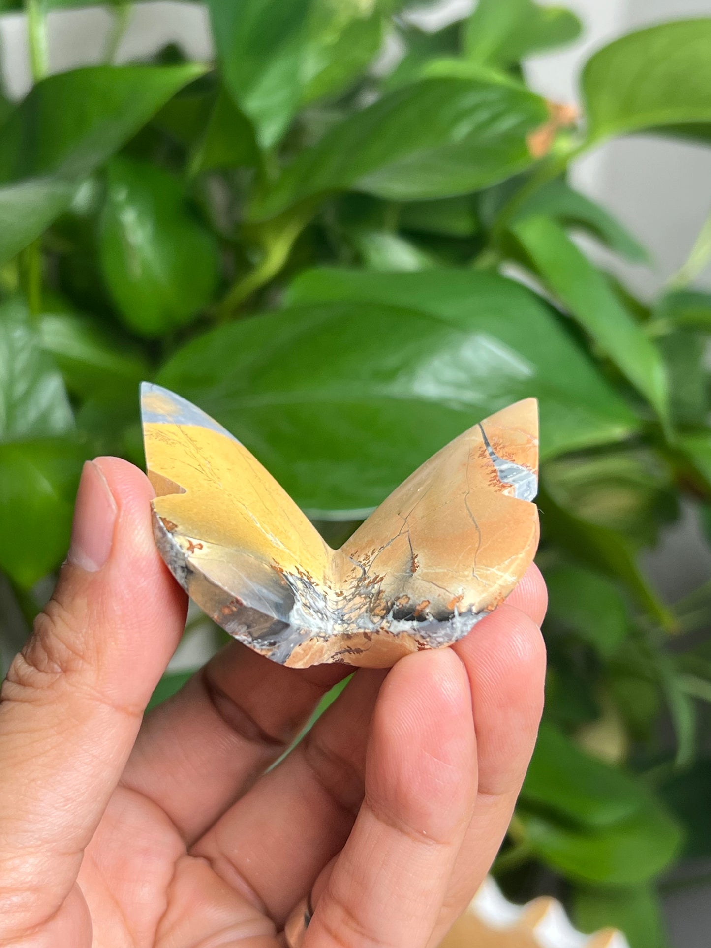 Maligano 3D Butterfly: AK