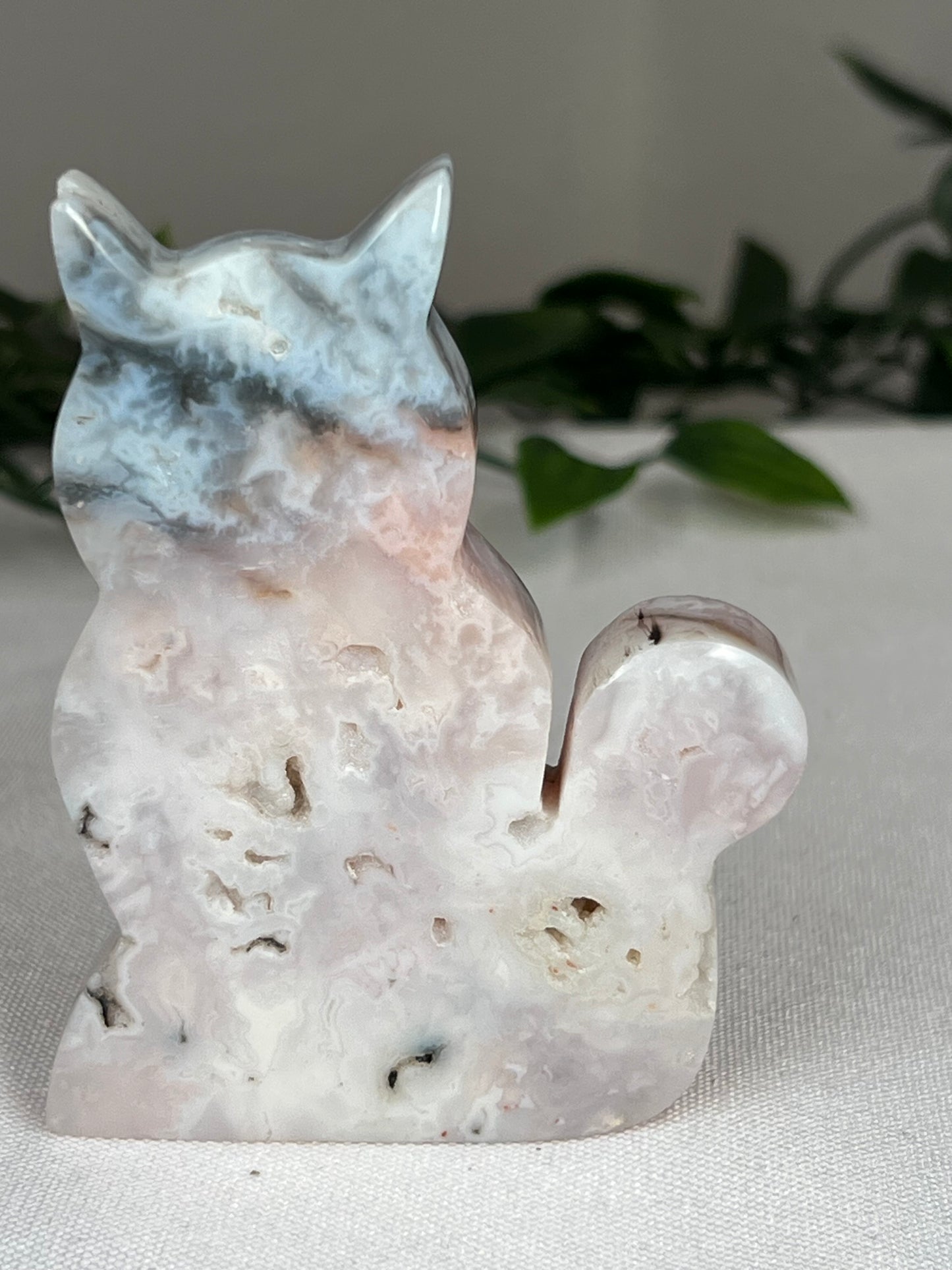 Rainbow Plume Agate Cat