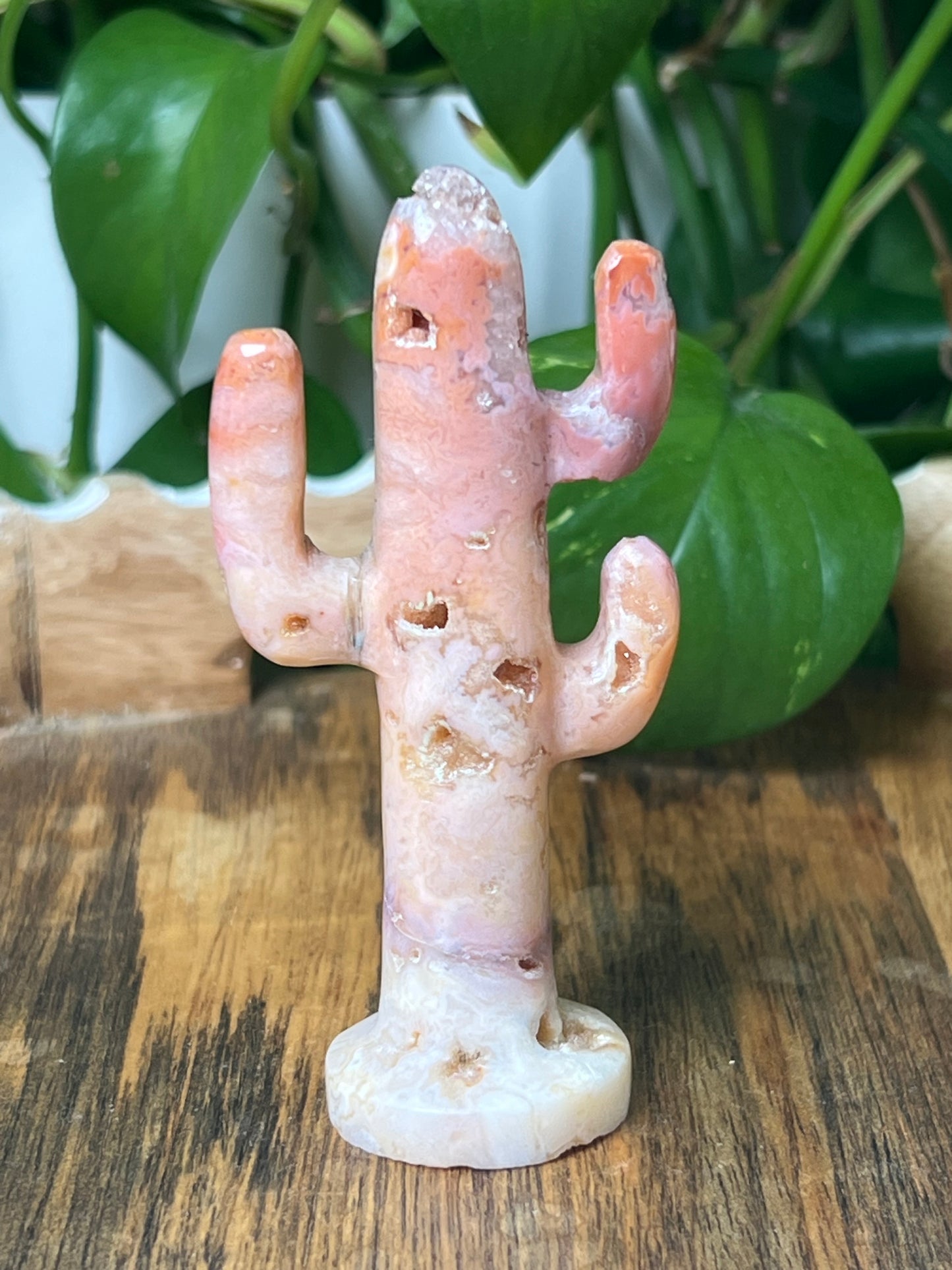 Pink Carnelian Cactus