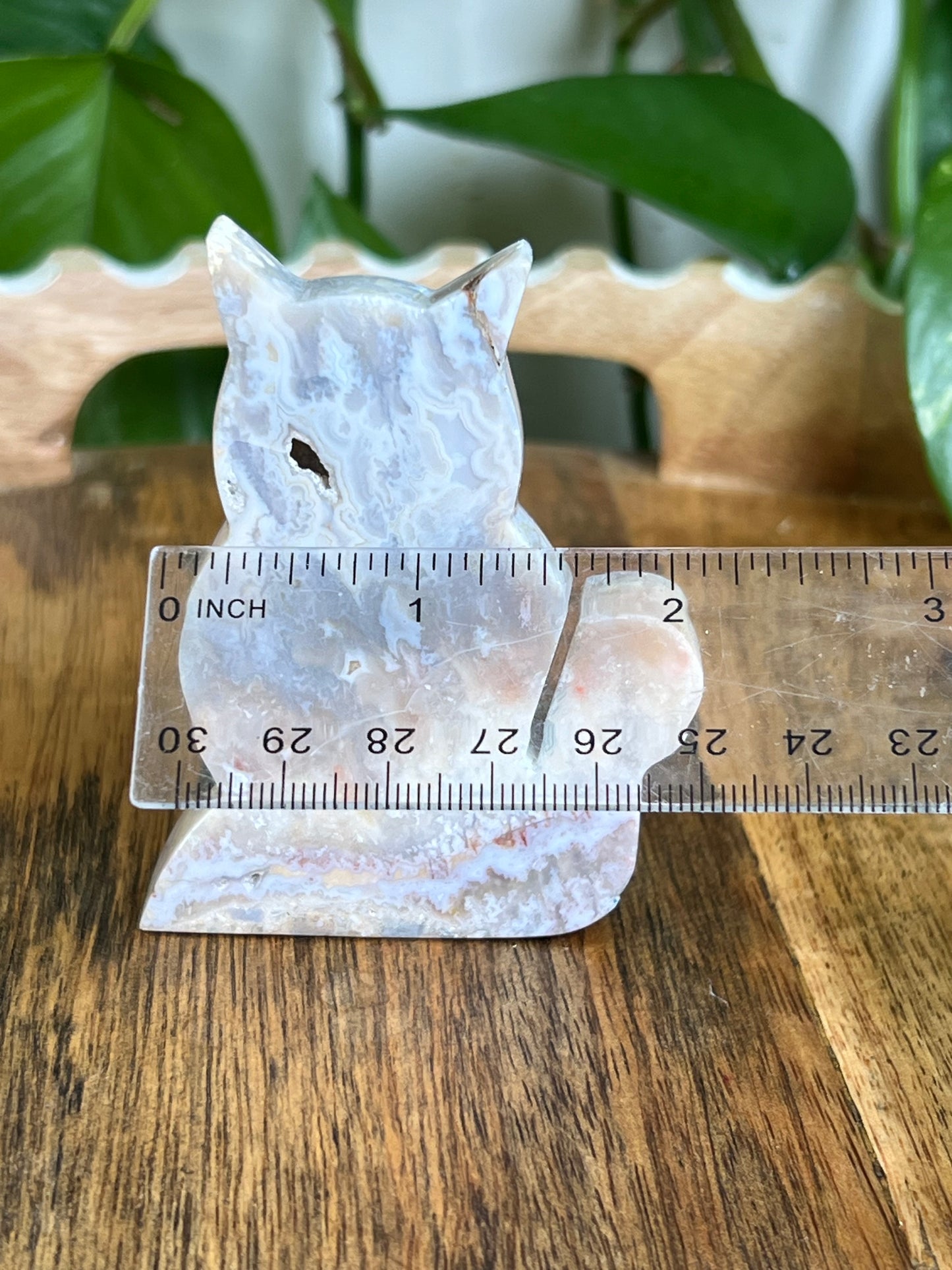 Sumatra Agate Cat EE