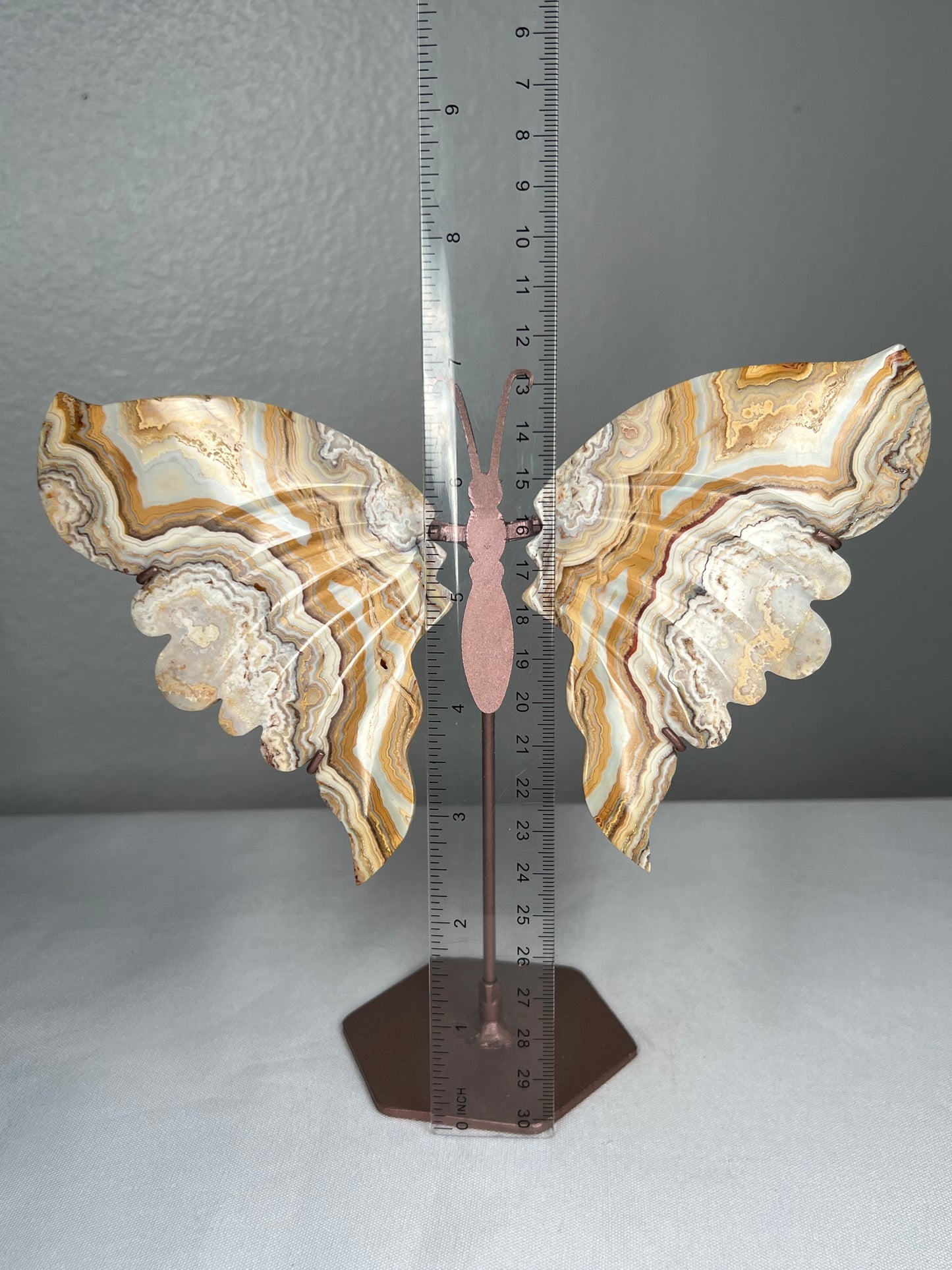 Yellow Crazy Lace Agate Wings