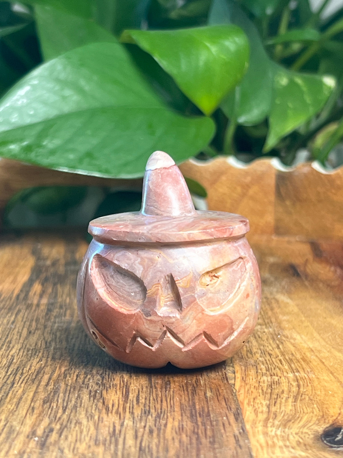 Pink Polycrome Pumpkin: B