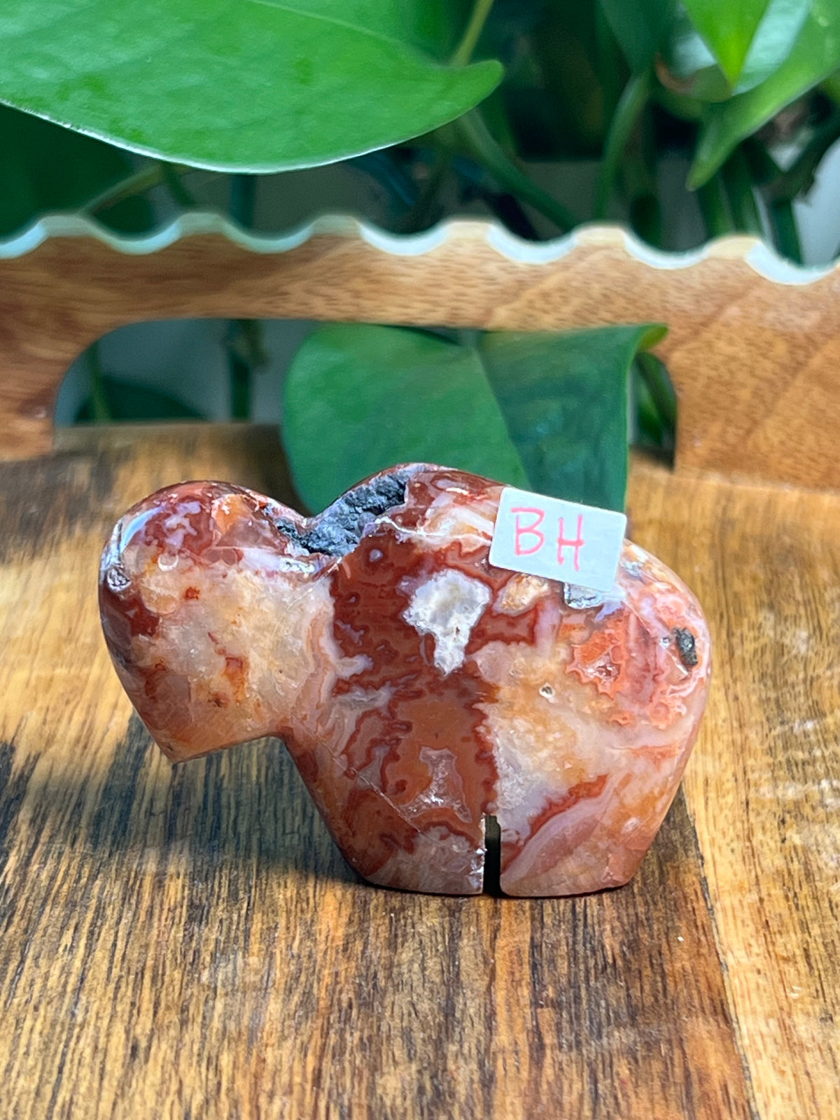 Carnelian Mini Buffalos