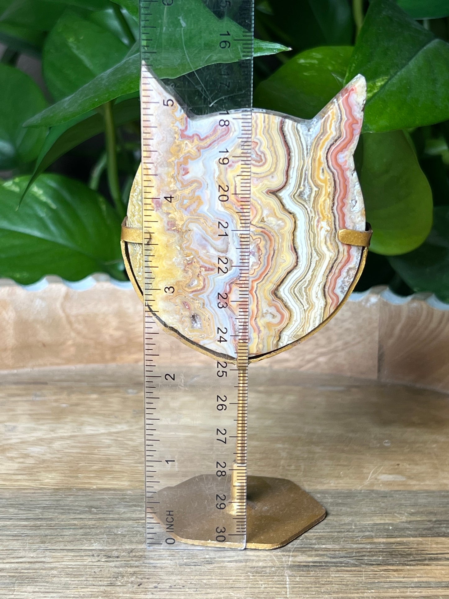 Crazy Lace Agate Cat Head