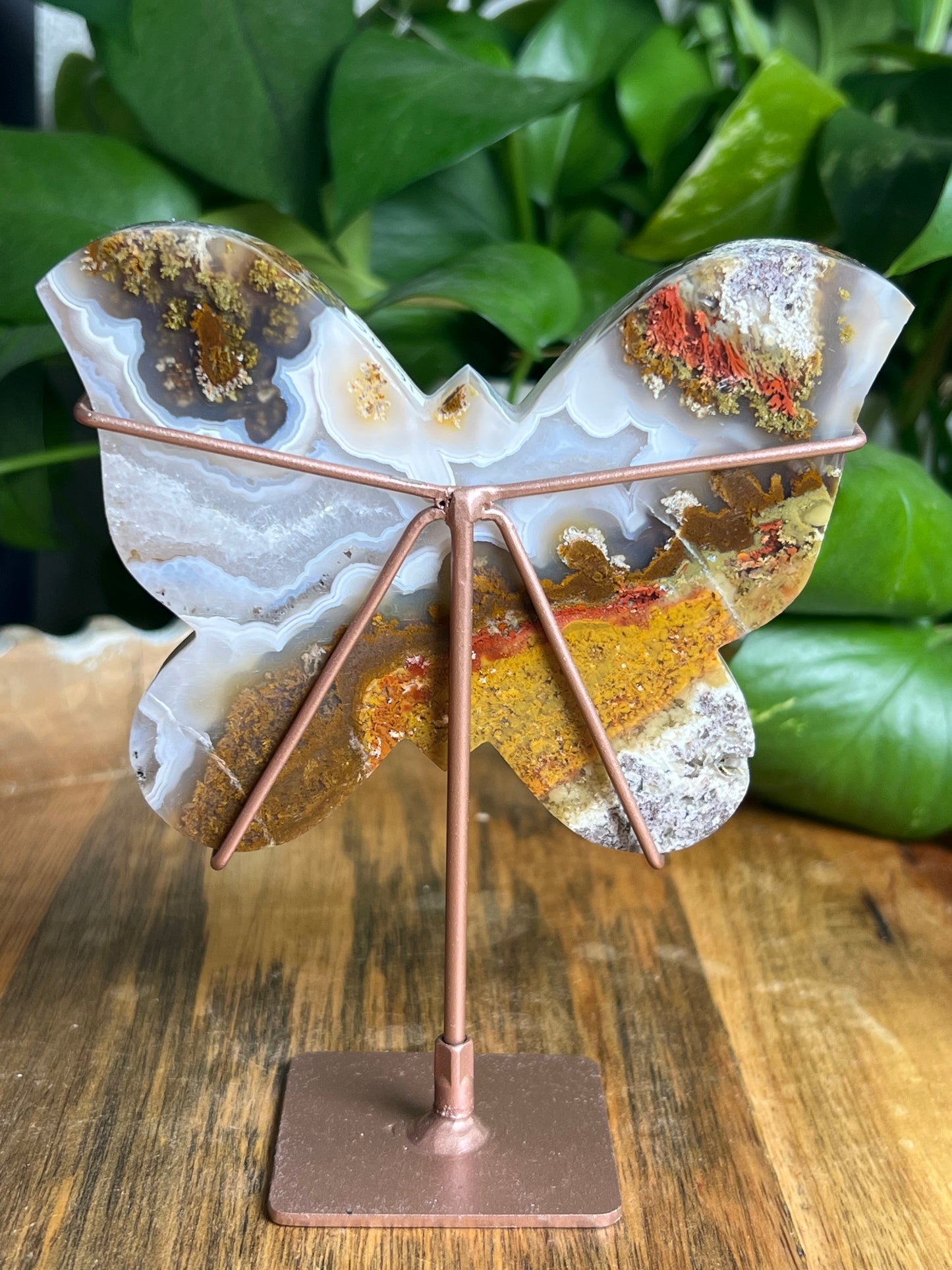 Scenic Moss Agate Butterfly