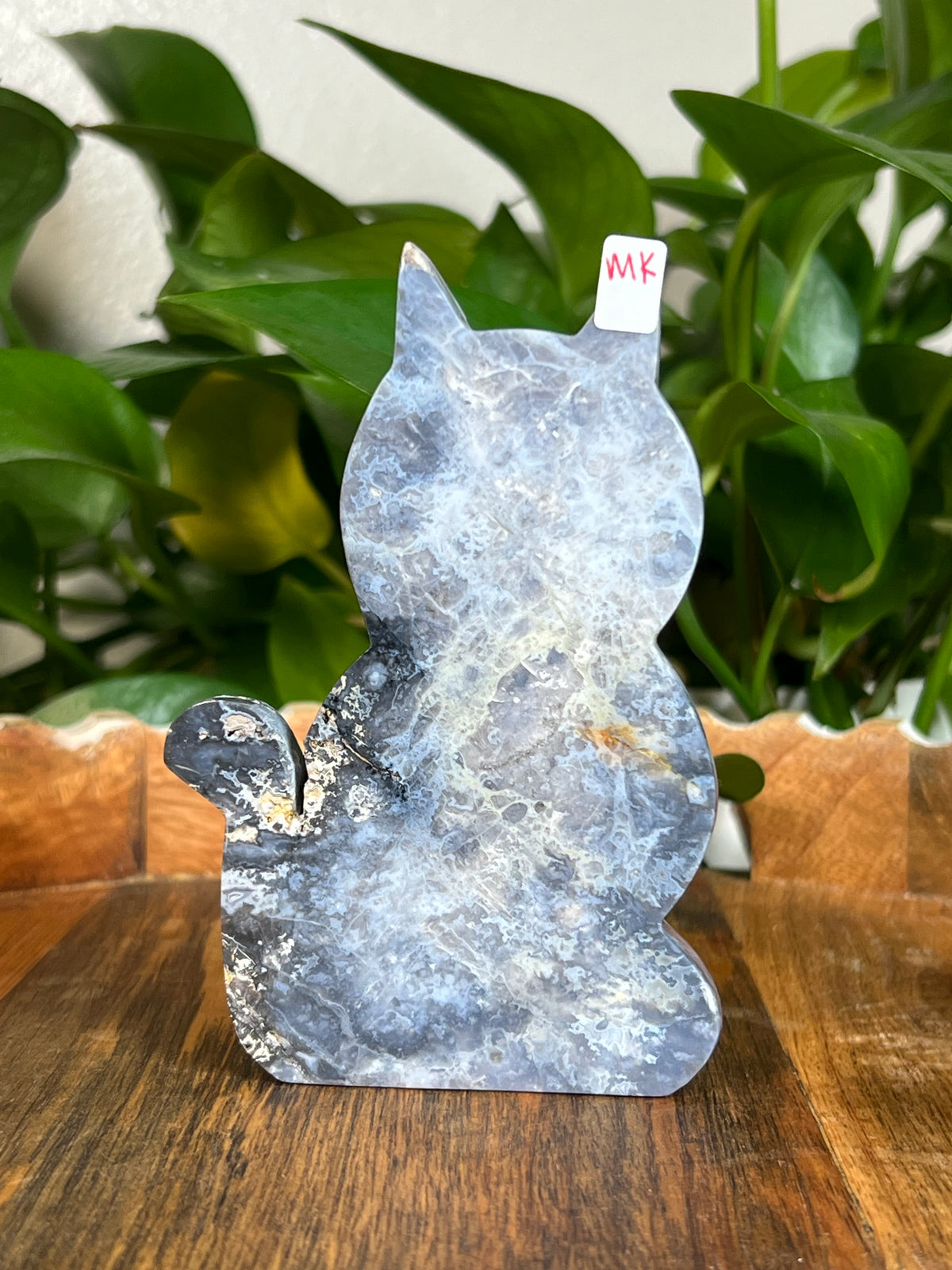 Blue Plume Agate Cats