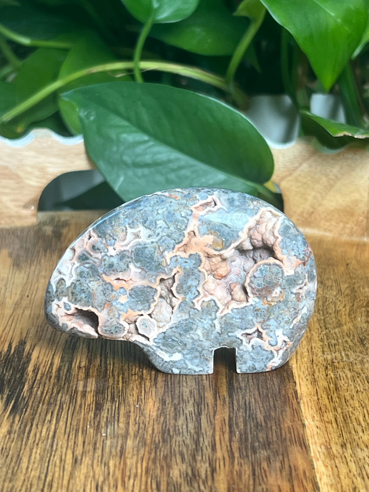 Marcasite Bear: TE