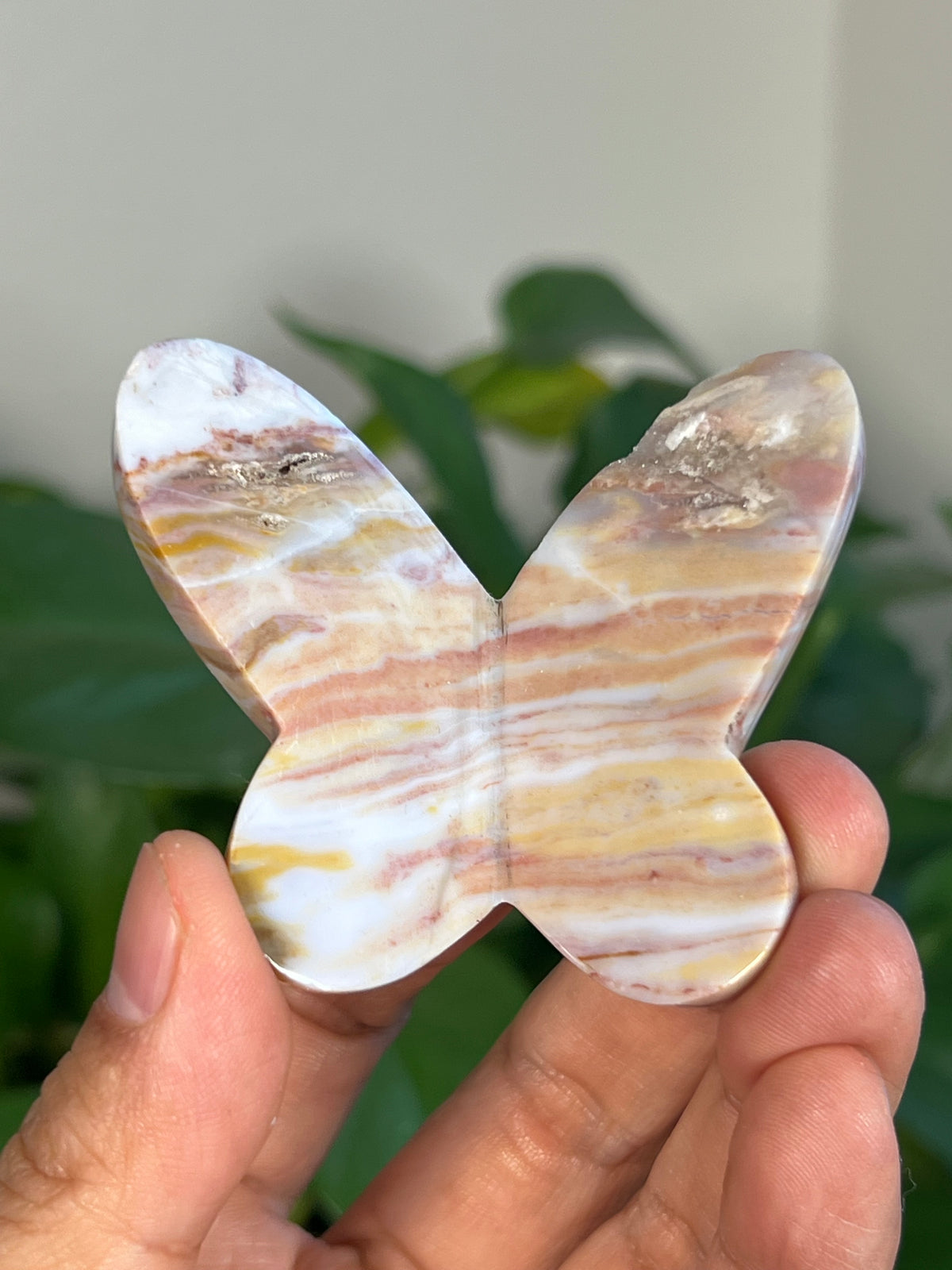 Milky River Jasper 3D Butterflies