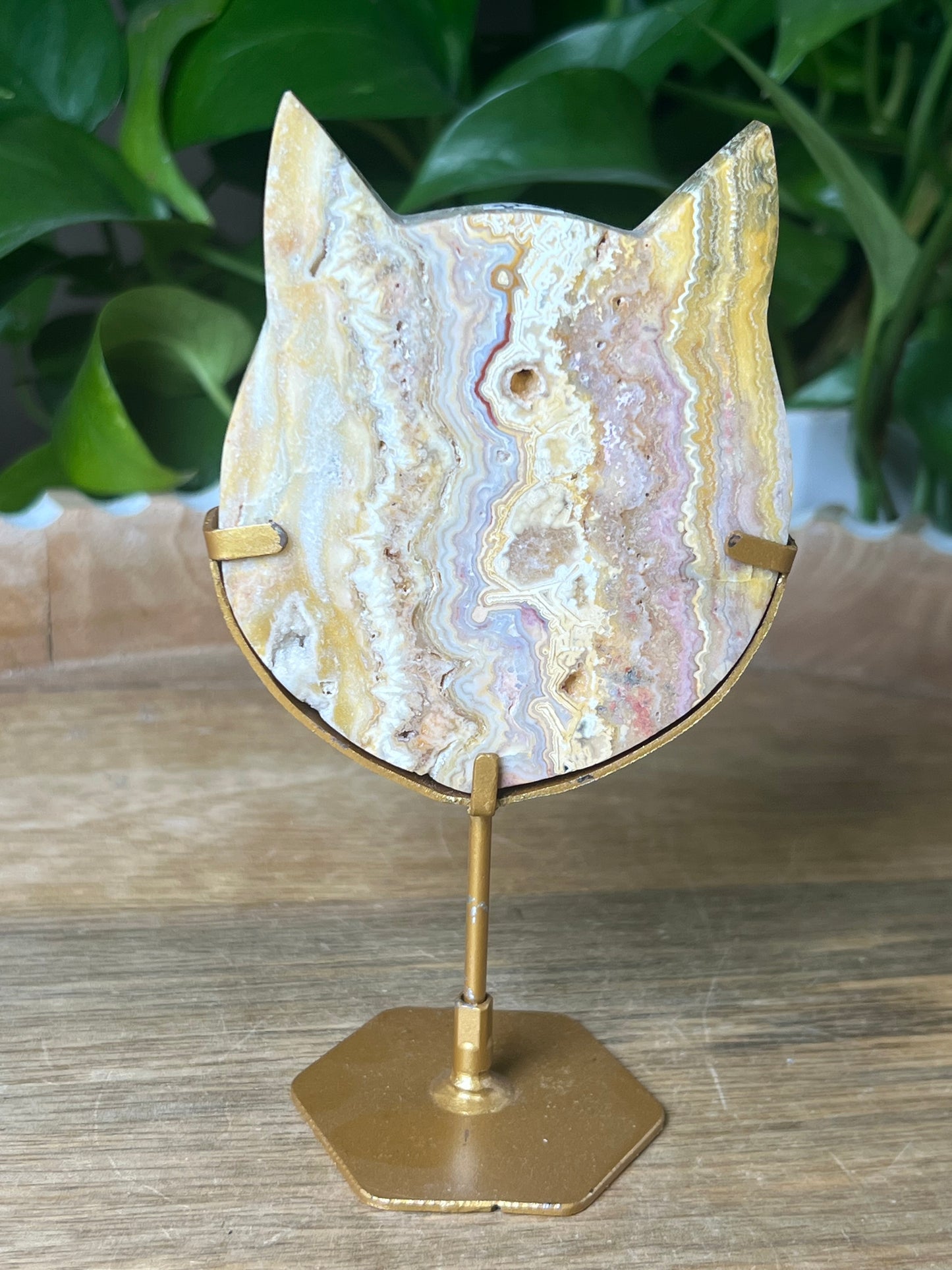 Crazy Lace Agate Cat