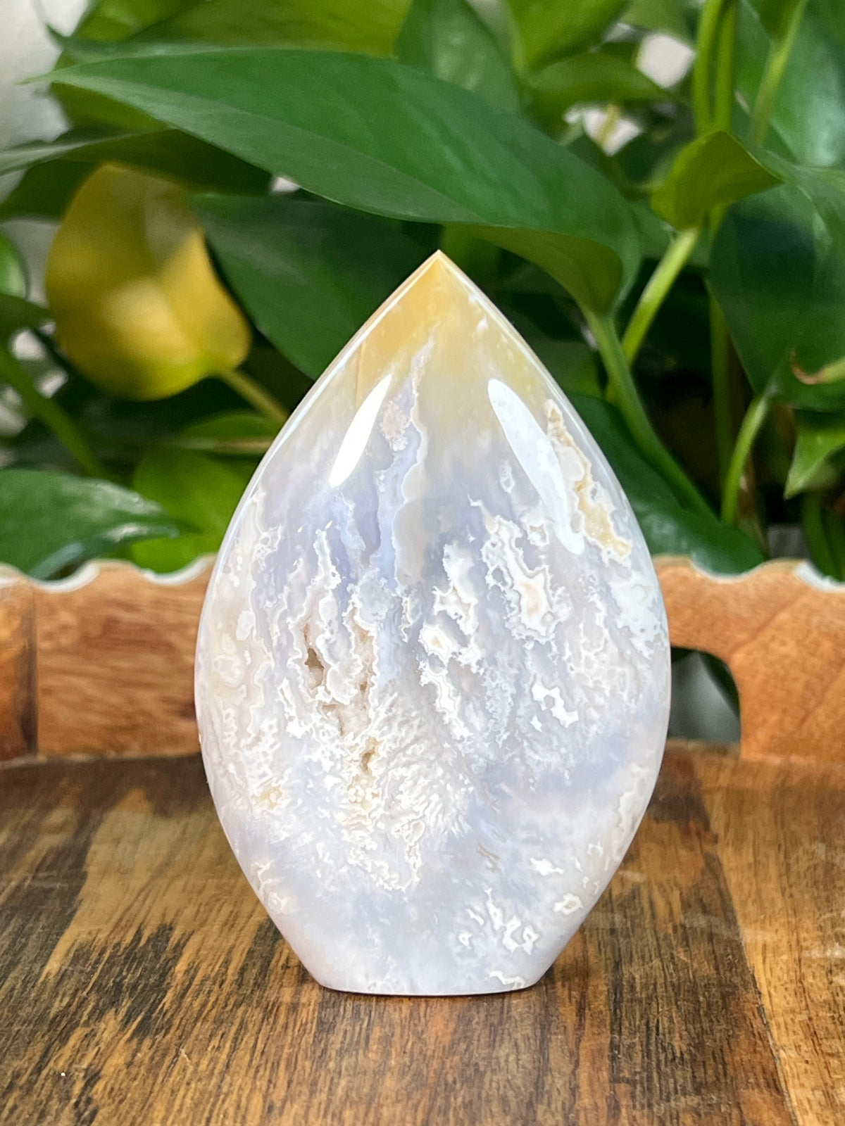 Winter Plume Agate Flames